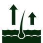 Hair Growth
